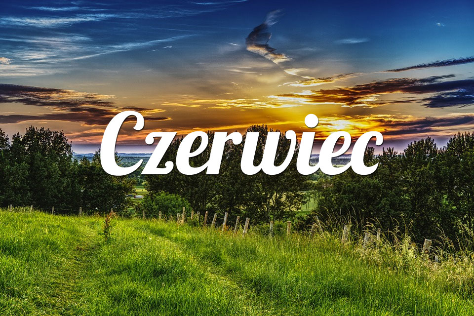 Lew Czerwiec 2025