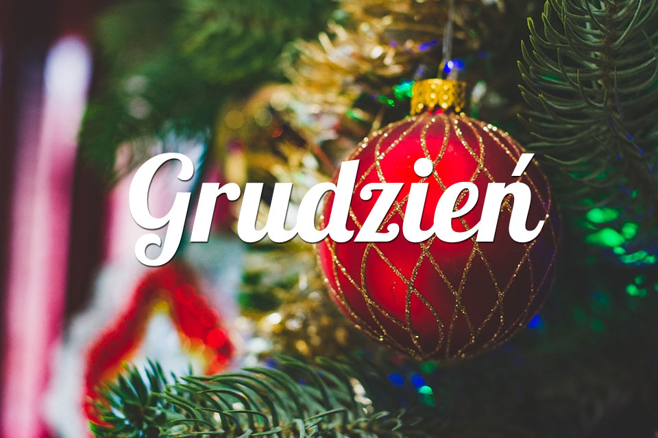 Lew Grudzień 2025