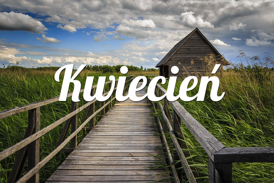 Lew Kwiecień 2025