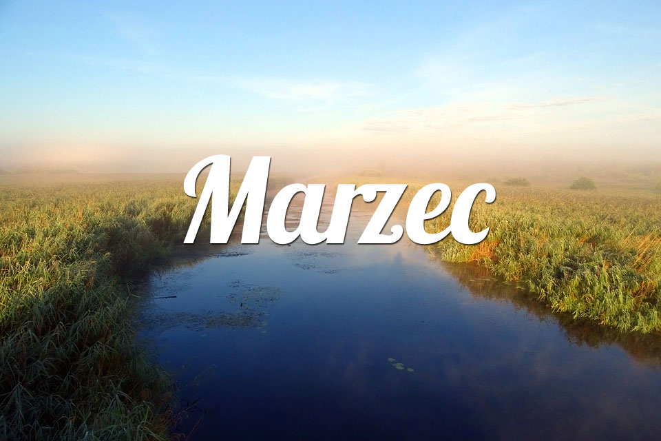 Lew Marzec 2025