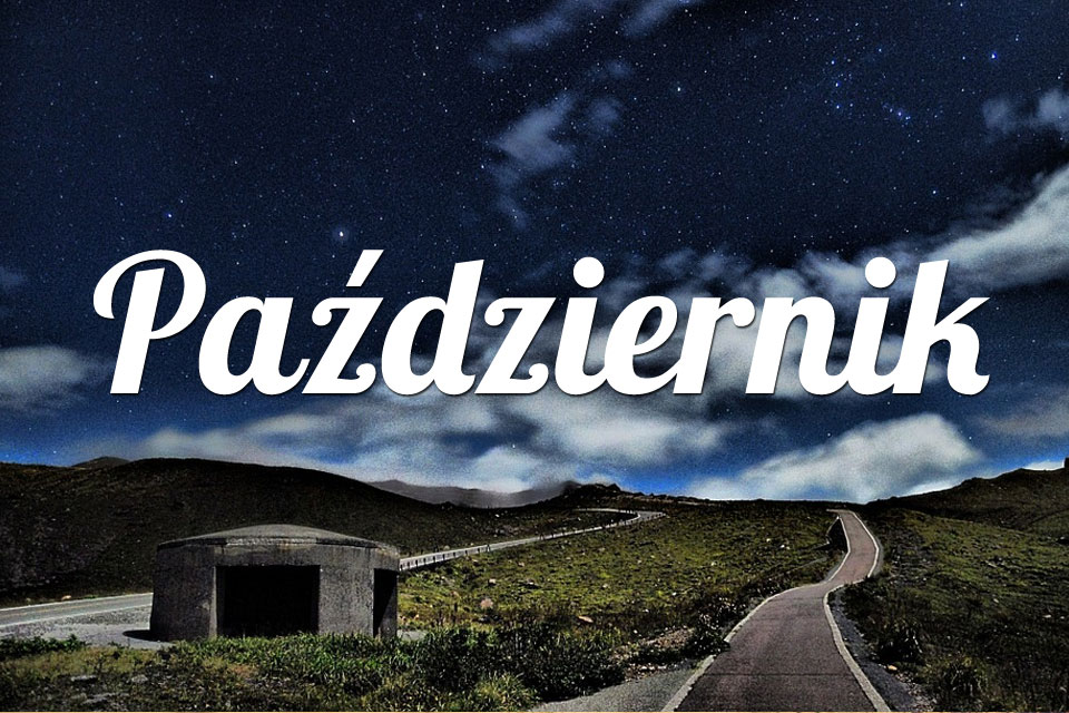 Lew Październik 2025