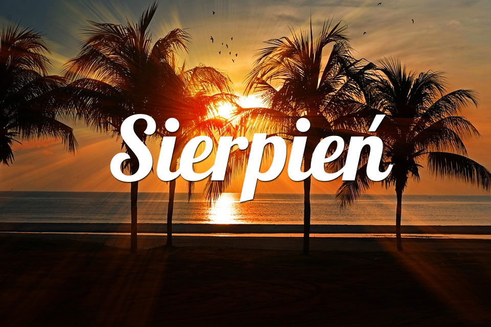 Lew Sierpień 2025