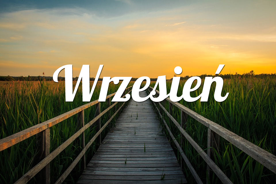 Lew Wrzesień 2025